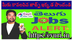 Part Time Home Based Data Entry Typing Jobs