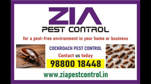 Cockroach  pest control service price starts from just Rs. 700 only | 1874