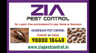 Call Us Today for Pest Free Environment  General Pest control service | 1872