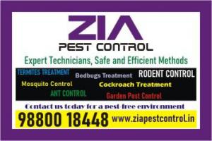 Zia Pest control | Lizard Control Rat Control | Pest treatment | 6073